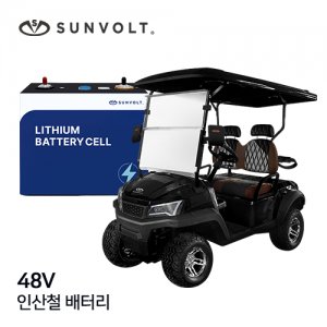 [골프카트] 48v 인산철 배터리